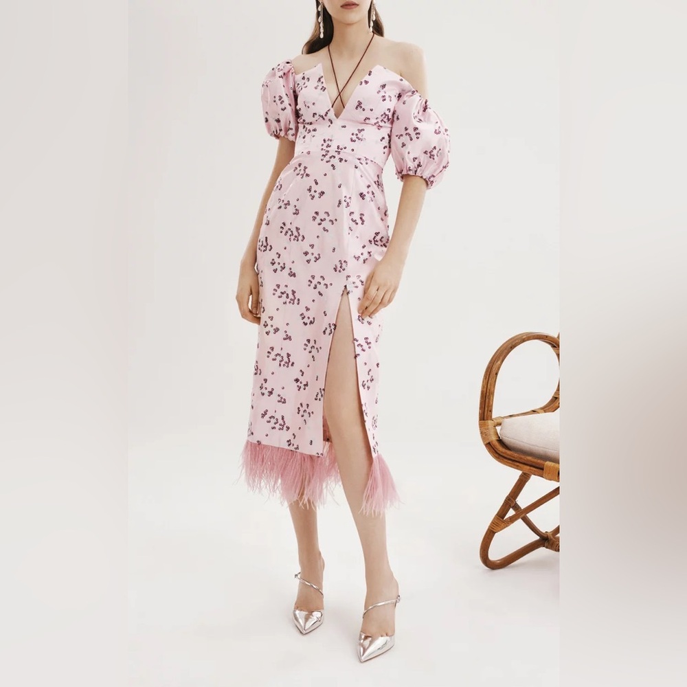 Markarian Pink Dress with Feather Detail